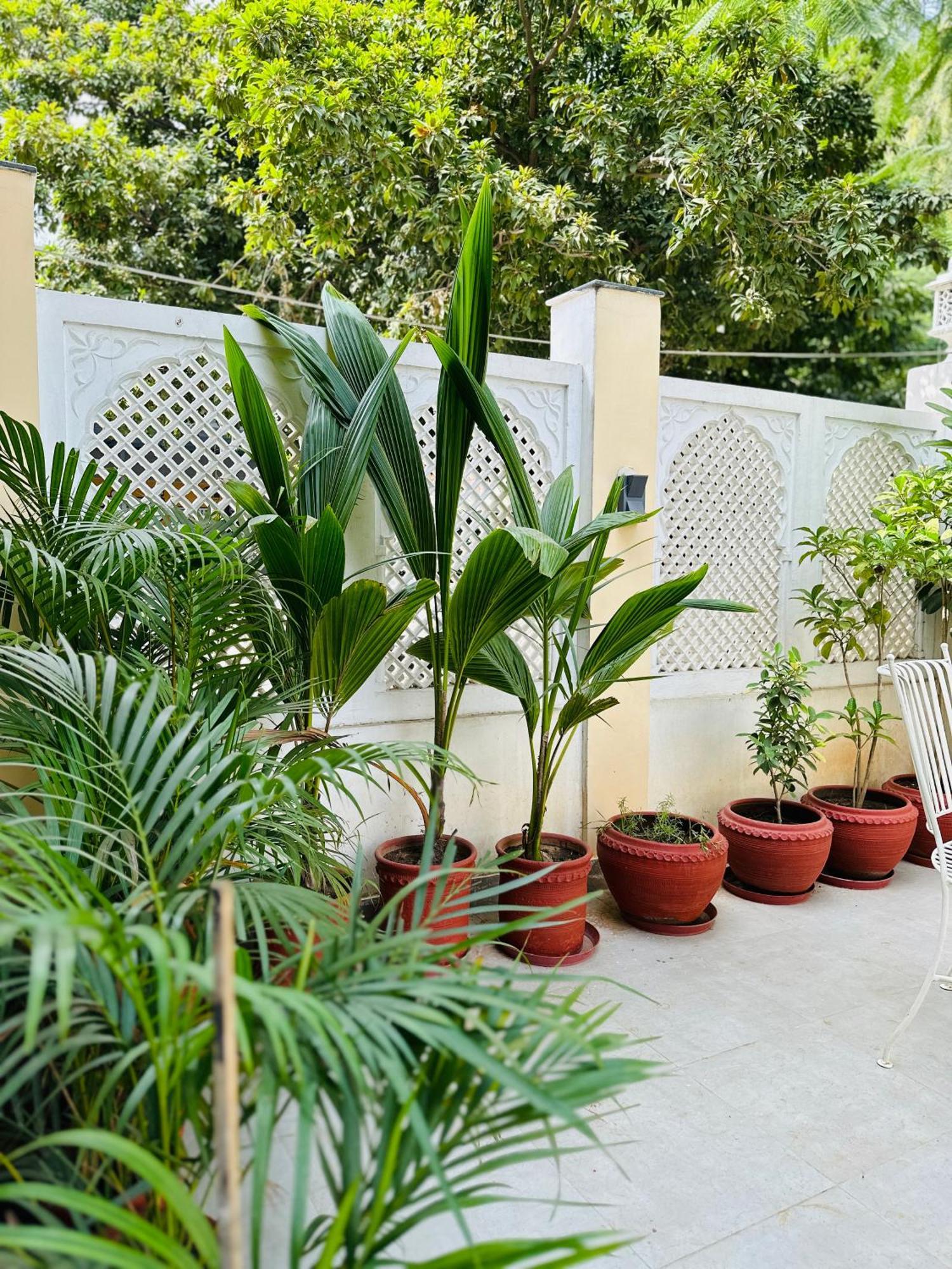 Anandmai - Sustainable Living Spaces Divisione di Divisione di Jaipur Esterno foto
